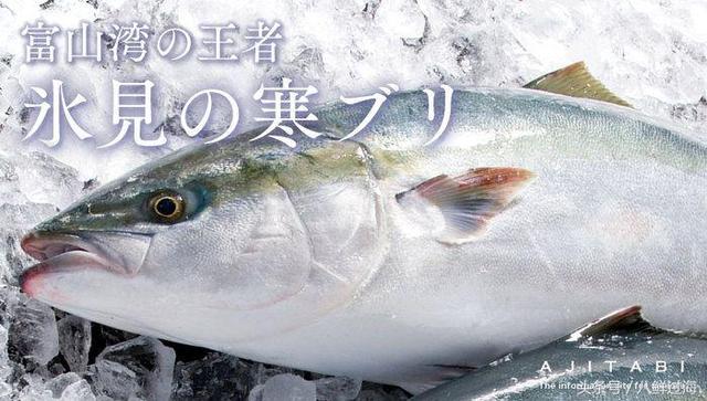 出人头地方为”鰤“的寒鰤鱼：日本冬季必吃的旬之美味！