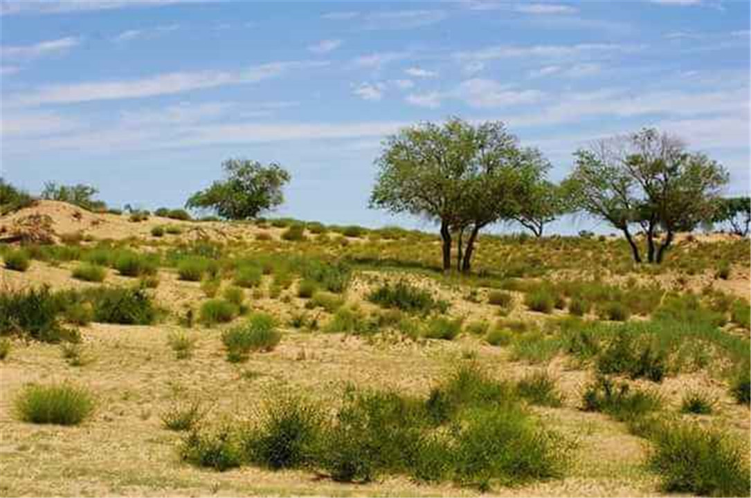 说出来你可能不相信