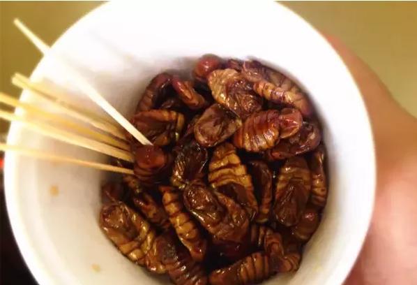 蚕蛹怎么吃（蚕蛹怎么吃营养价值高）-85模板网