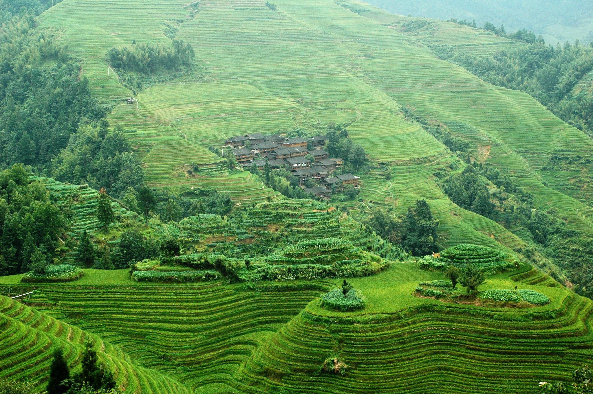 龙脊梯田旅游攻略龙脊梯田一日游