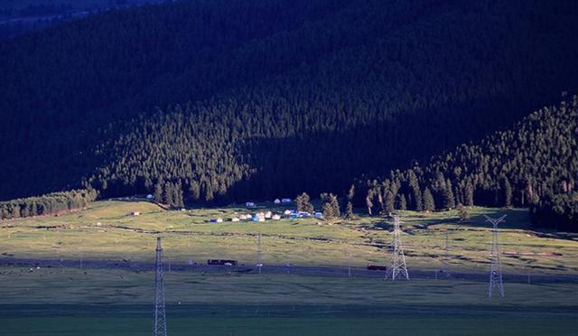 新疆哈密松树塘,草原与松涛相伴的避暑胜地