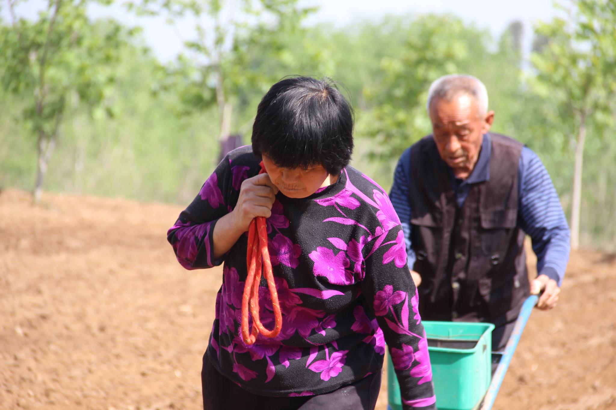 农村老夫妻,春天种下种子,秋天就能收获希望的果实