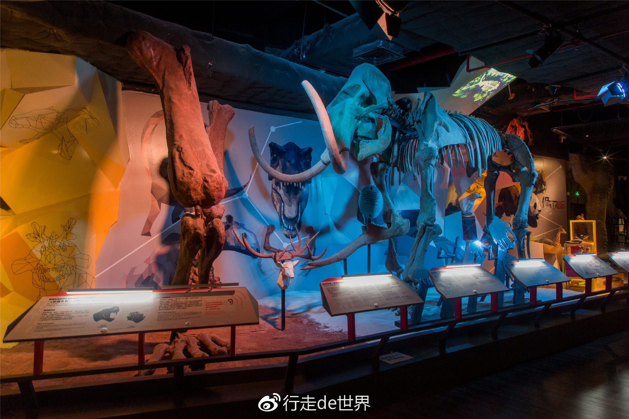 和我一起去正佳自然科学博物馆探究世界的奥秘吧!