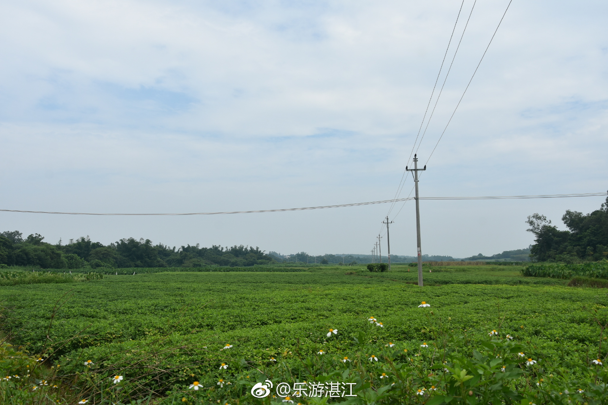 这59国人员到海南入境旅游不用签证