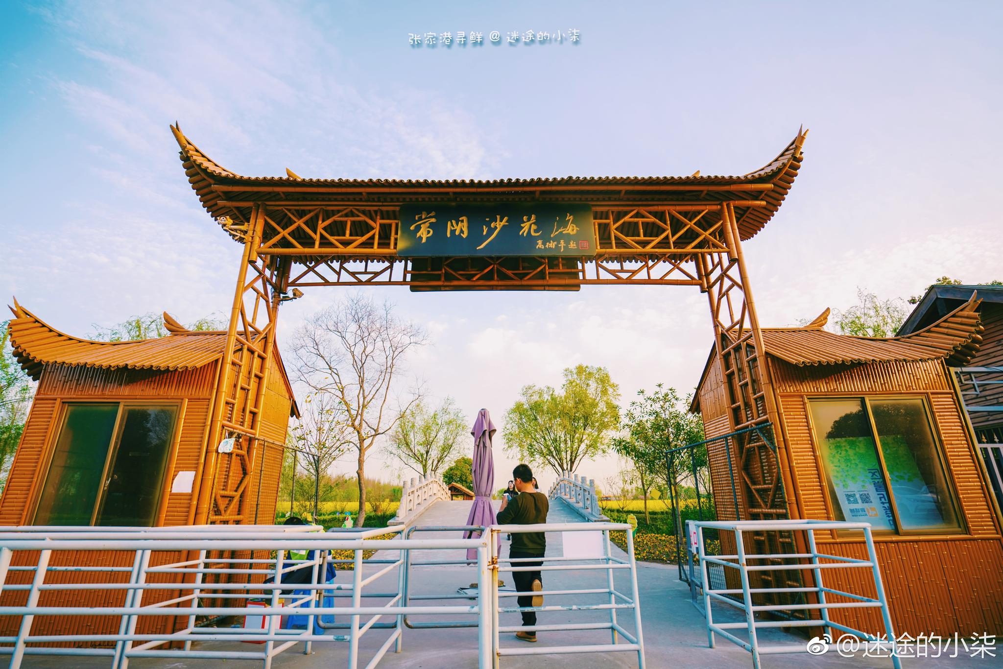 张家港常阴沙花海连整个空气里都是情侣的味道正是踏春好