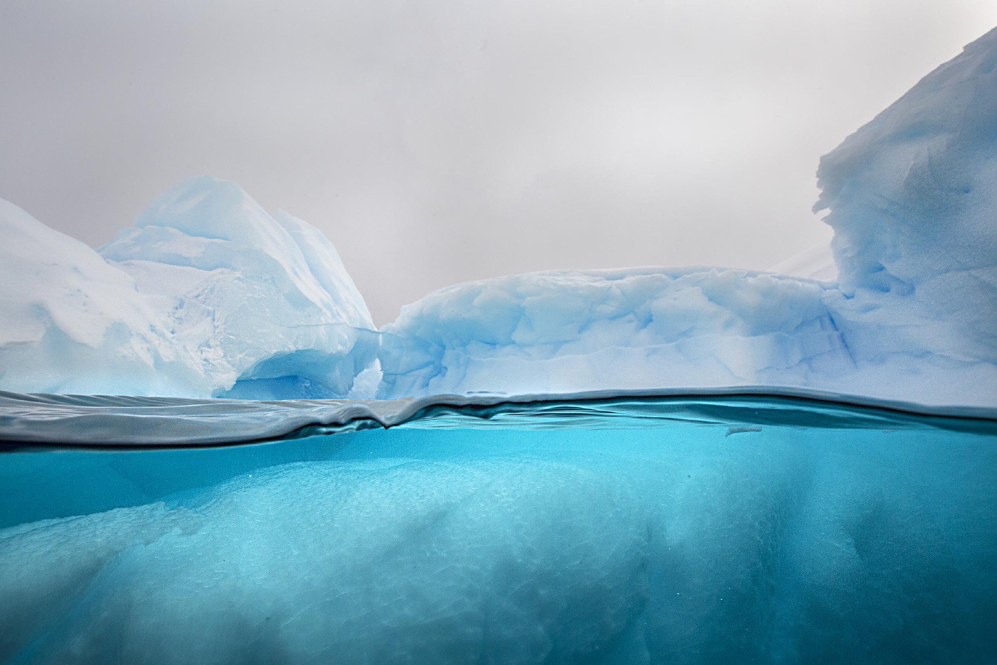 通过将相机放置在水面上|南极冰川|两极|水面_新浪新闻