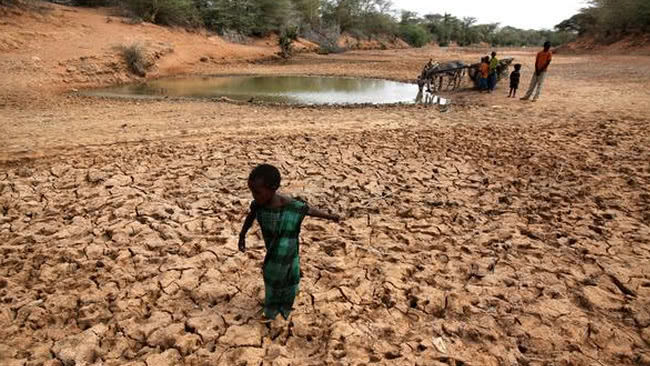 为什么非洲人宁愿渴死也不挖井,饿死也不种地,这下总算明白了!