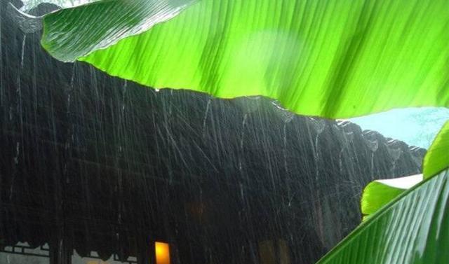 韦应物空山松子落幽人应未眠