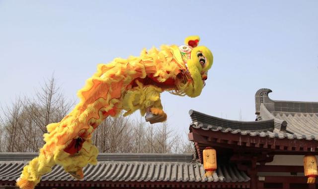 舞狮耍杂技是过年那味儿,可是南狮和北狮你知道吗?发财中国年