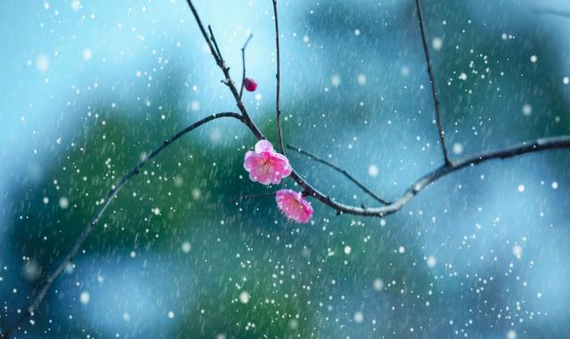 看看这些天气谚语,你就知道明天下不下雨了!比