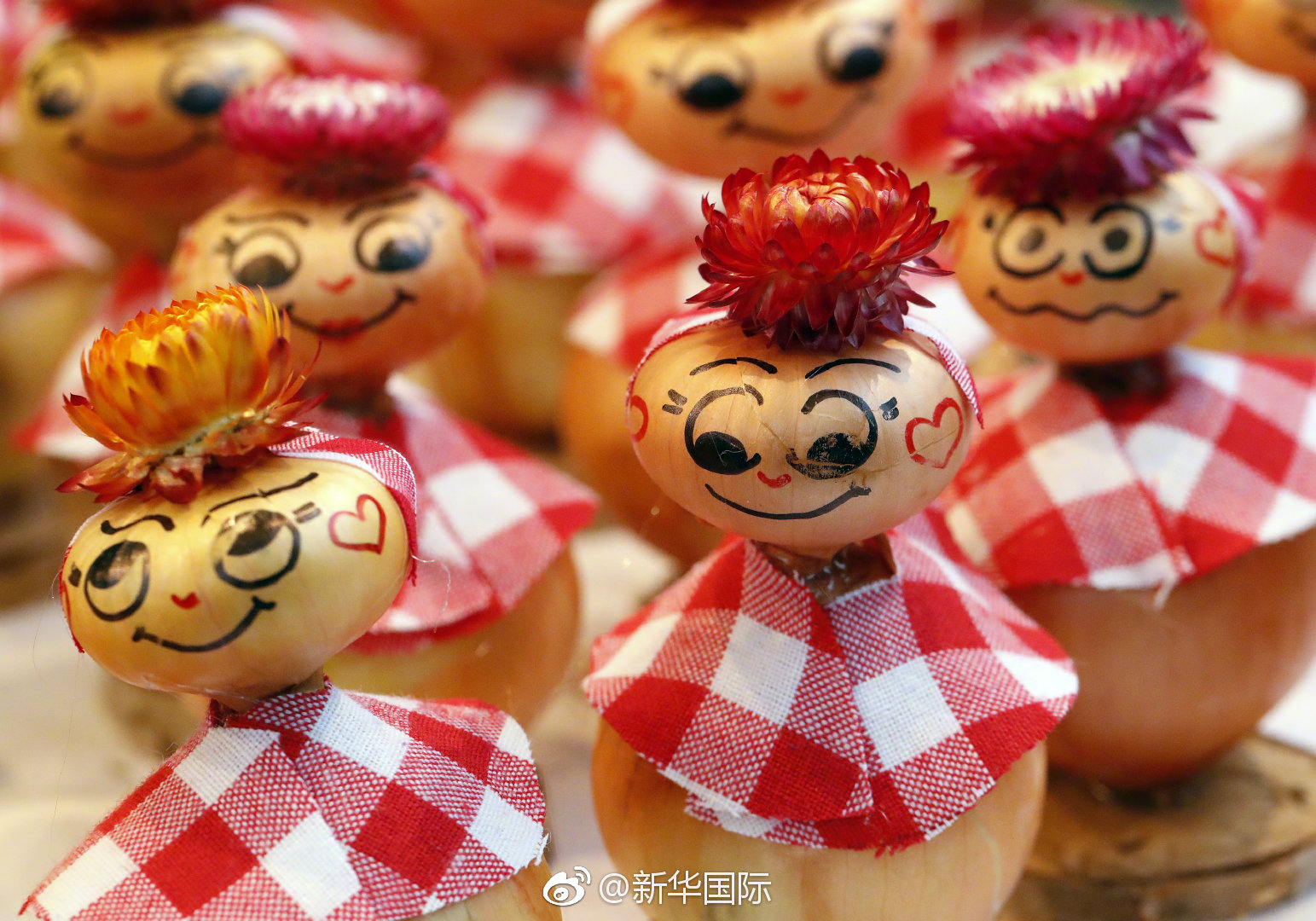 洋葱头瑞士"历险记"