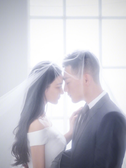 张馨予也开展了霸屏模式,从结婚到找狗,这些年她都经历了什么