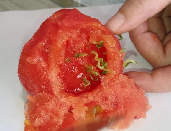 这种西红柿真的不能吃,有毒还致癌,快去看看你家有吗?