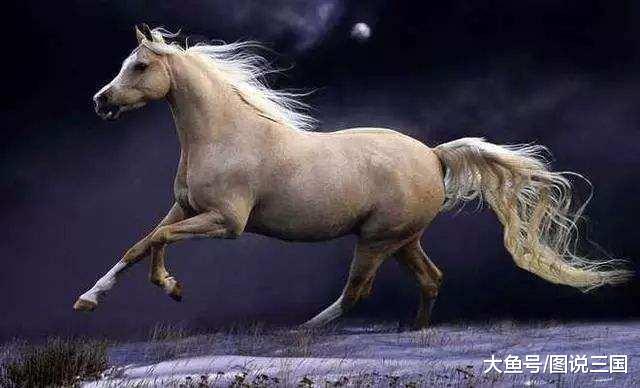 三国最受喜爱的千里良驹, 只有这5匹救主的名马, 其他都是浮云