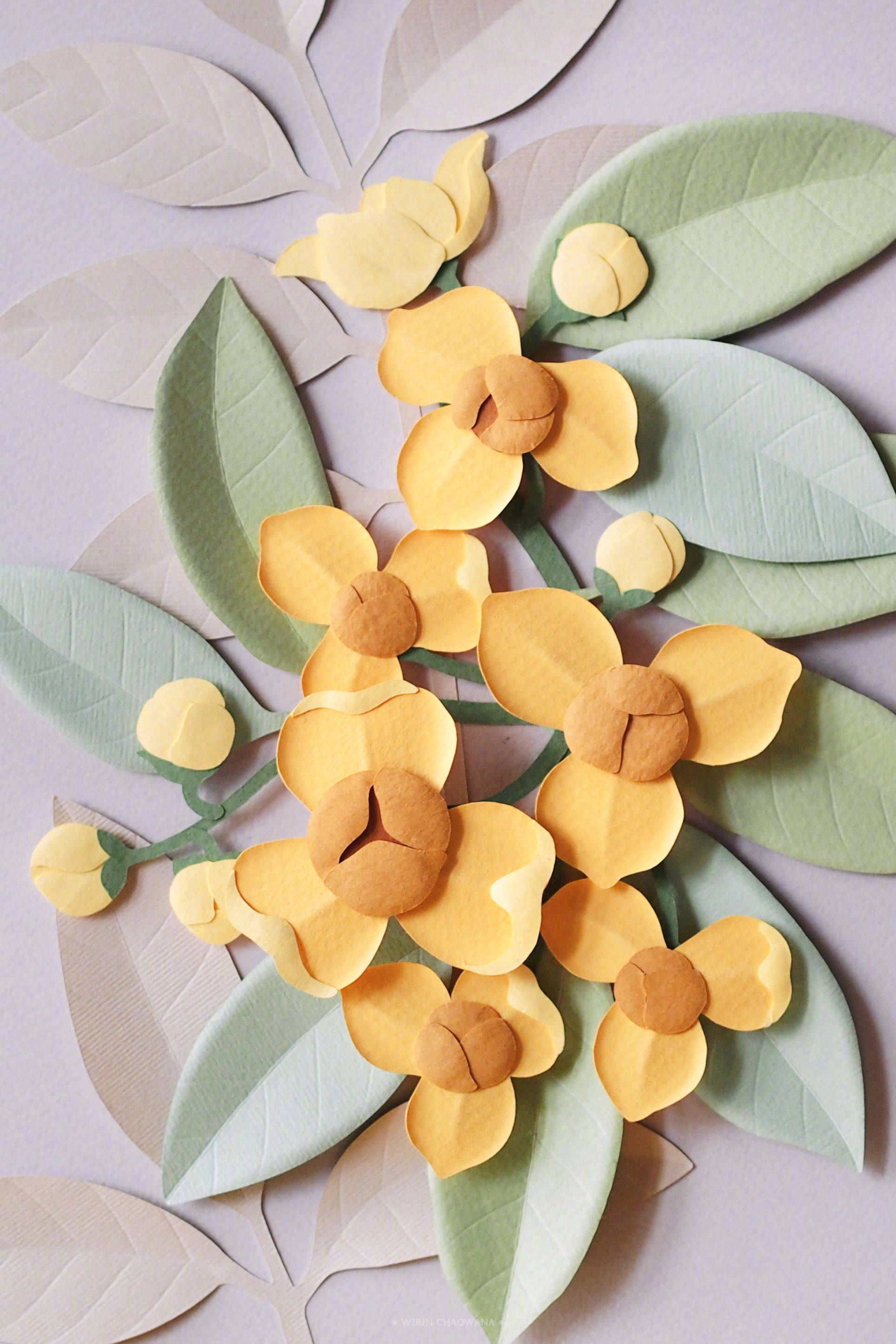 来自泰国艺术家 wirin chaowana 纸艺作品