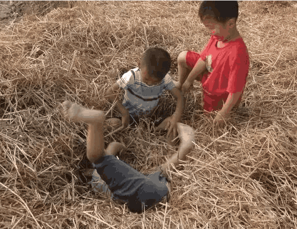 男吾得子时, 女吾得午时, 这句农村俗语, 有什