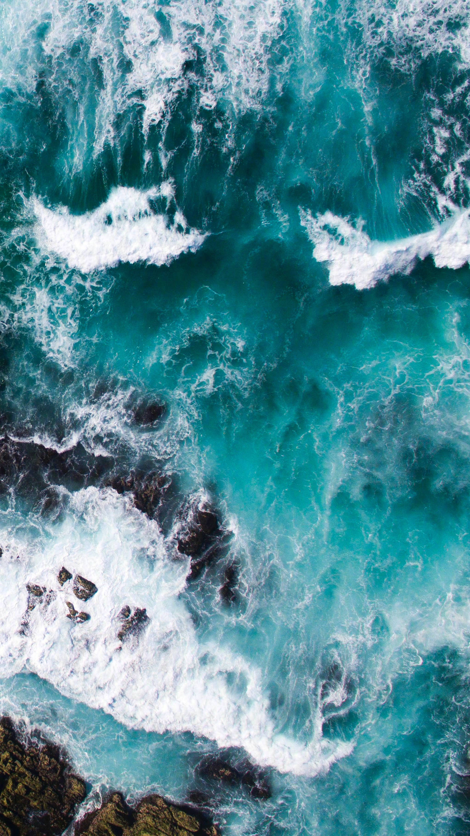 大海~ @微博艺术