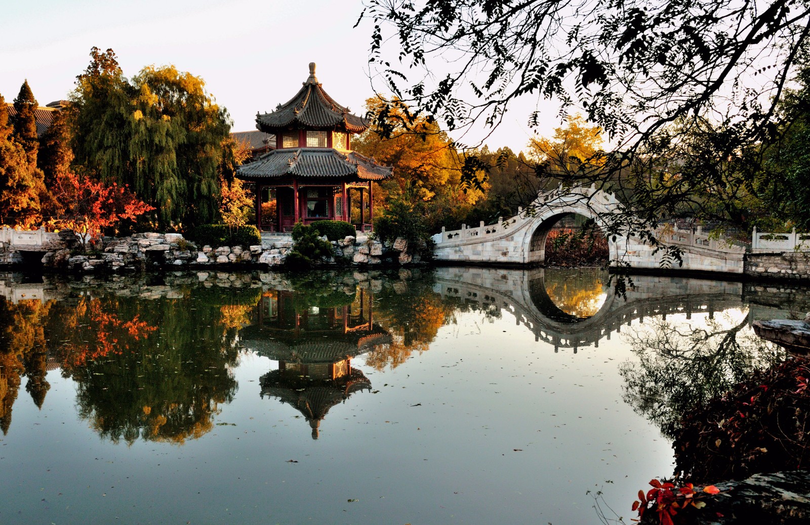 秋正远雪未至保定古莲花池的灿烂时光