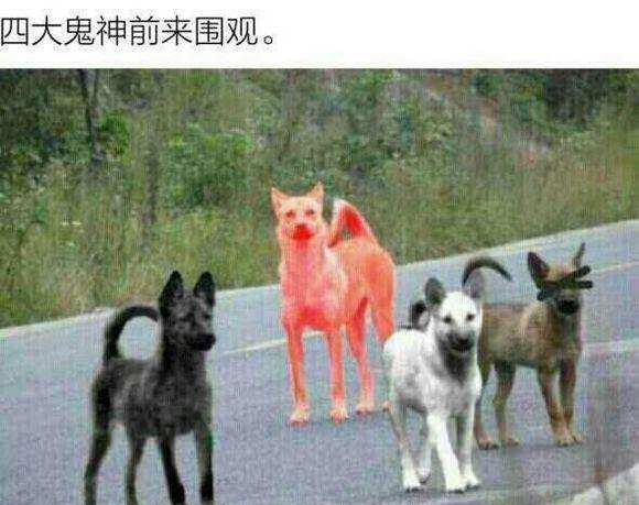 DNF 2017年各职业贴吧人口普查 ! 四鬼剑占了