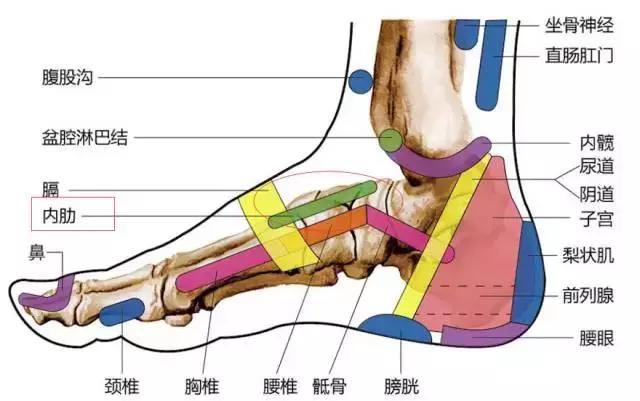 为什么生完宝宝之后,你却开心不起来|宝宝|小家伙|脚腕_新浪新闻