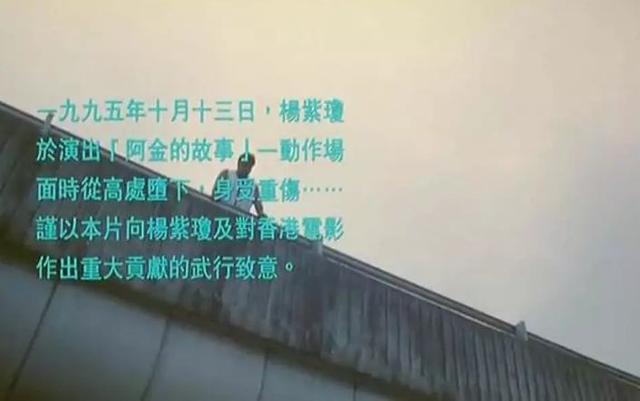 杨紫琼合作的四部电影,两部是动作经典,一部还名震国际|阿金的故事