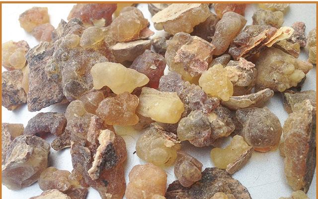 乳香是宋代朝贡贸易中进口的主要香药