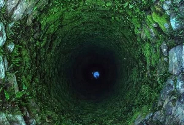 人类的情绪,认知,性格,心理规律都属于心理学研究范围6,树边的小洞穴