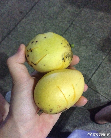 互动聊聊|芒果|扁桃|南宁_新浪新闻