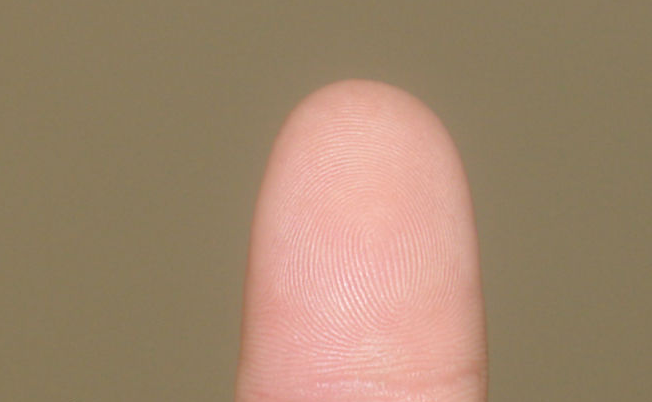 手指上的斗和簸箕代表什么你有几个斗