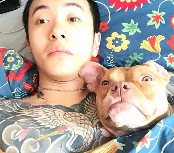 摩登兄弟和王北车粉丝互掐抖音上面到底谁最红