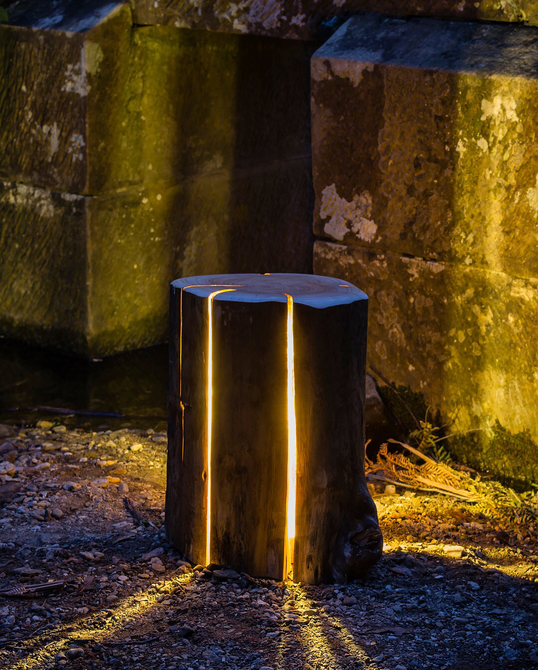 发光的木头做路灯好像也不错