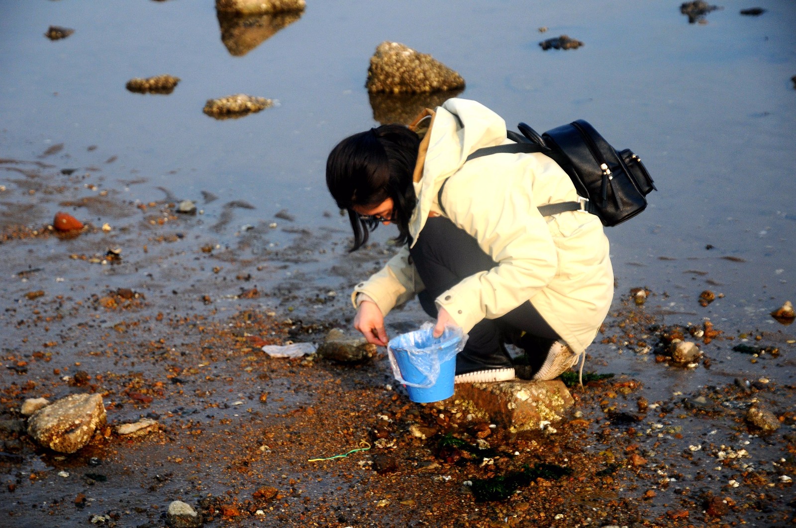 清明假期 青岛海滩上"淘宝"乐趣多多 捉螃蟹 挖蛏子 半天一大桶