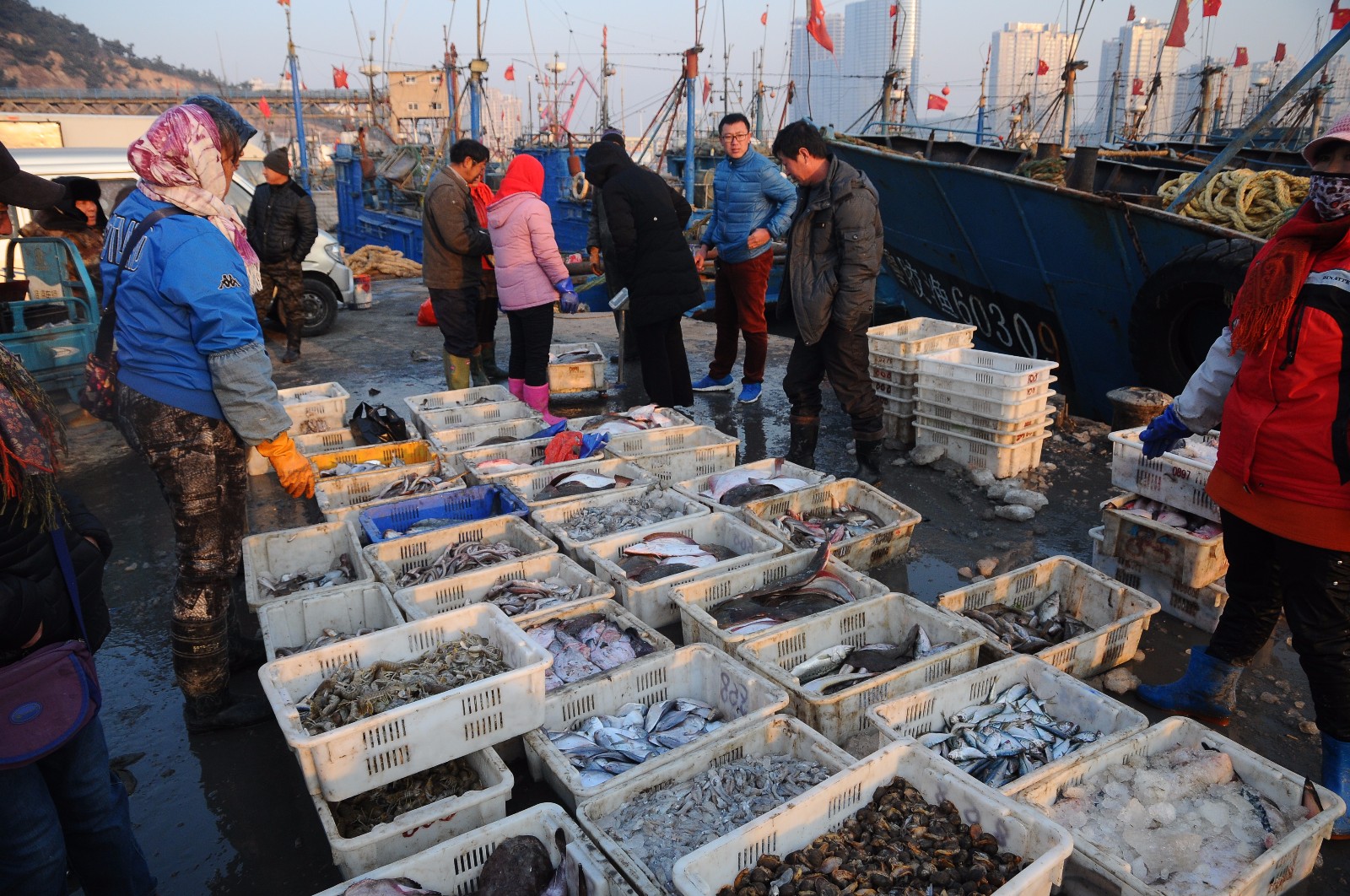 春暖花开青岛早市海鲜食材渐多纯海捕虾米10元一斤小鲅鱼20一斤