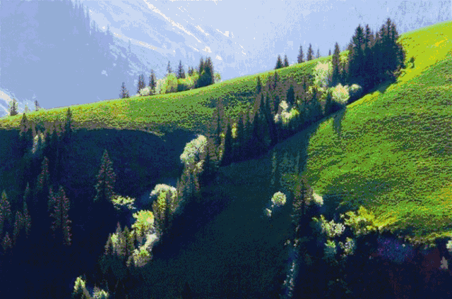 西藏和新疆,你想去哪一个