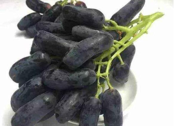 敢和新疆葡萄"叫板"的水果,个个甜津津,哪个是你最爱?