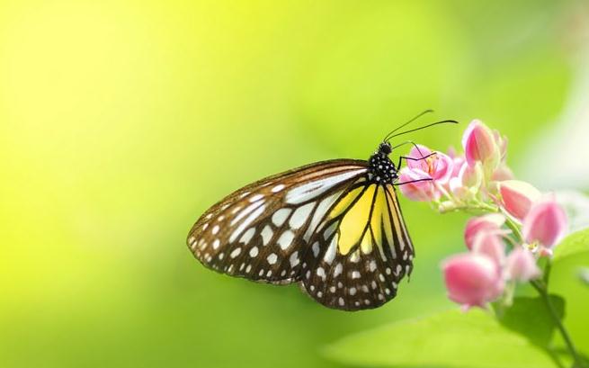 非常经典的句子:人情薄如纸,人心狠如狼