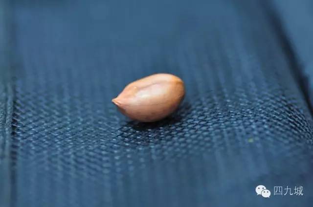 首先说明,这种喝酒的人很有涵养,不是因为只有一粒,而是就图那种心气