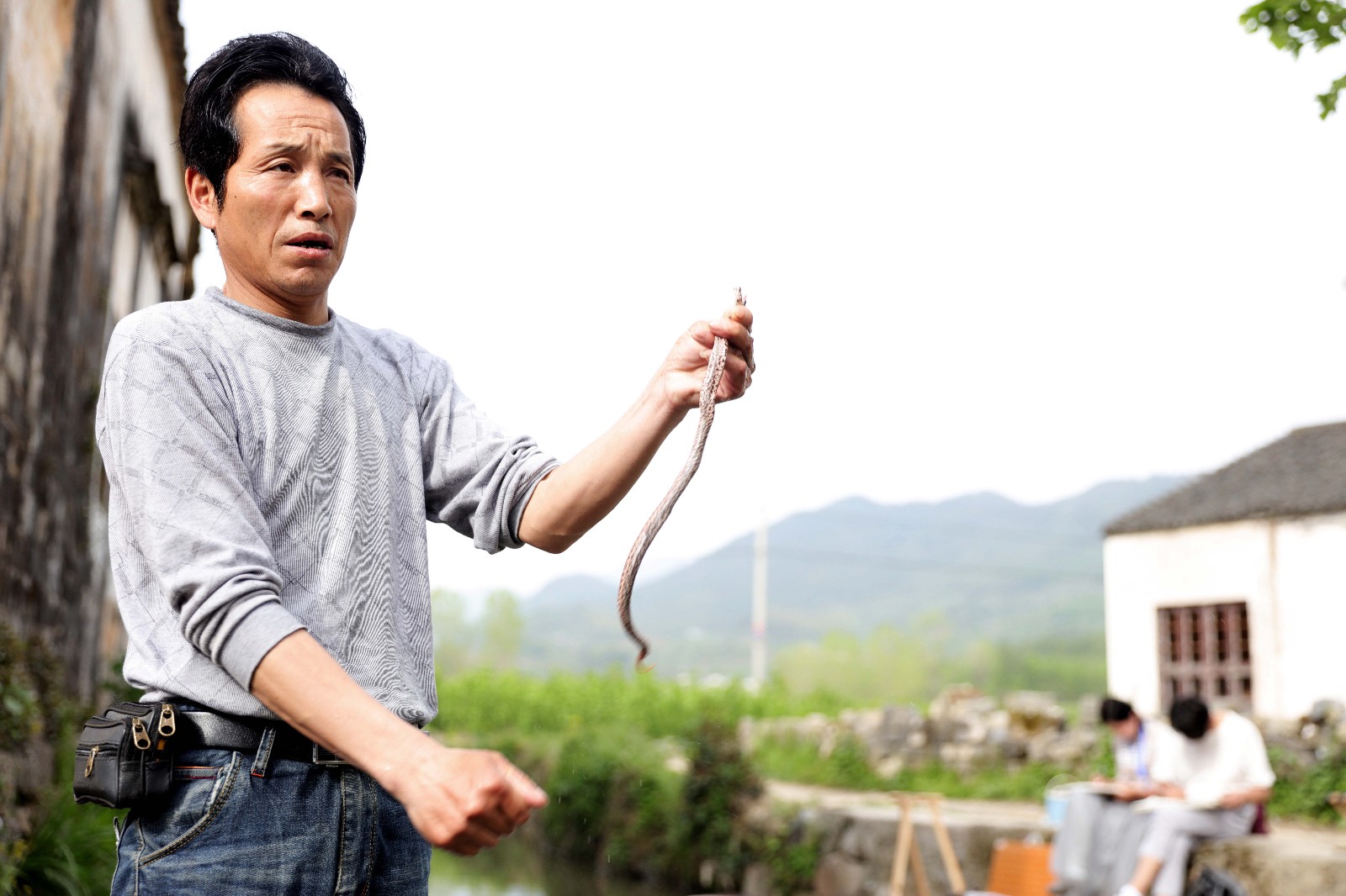 探访民间捕蛇人把蛇放到药酒里最危险要懂法守法