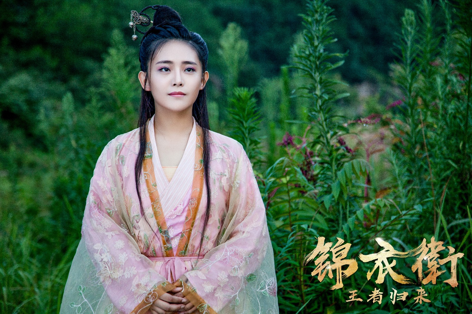 锦衣卫之王者归来明日爱奇艺独家上映谍照曝光