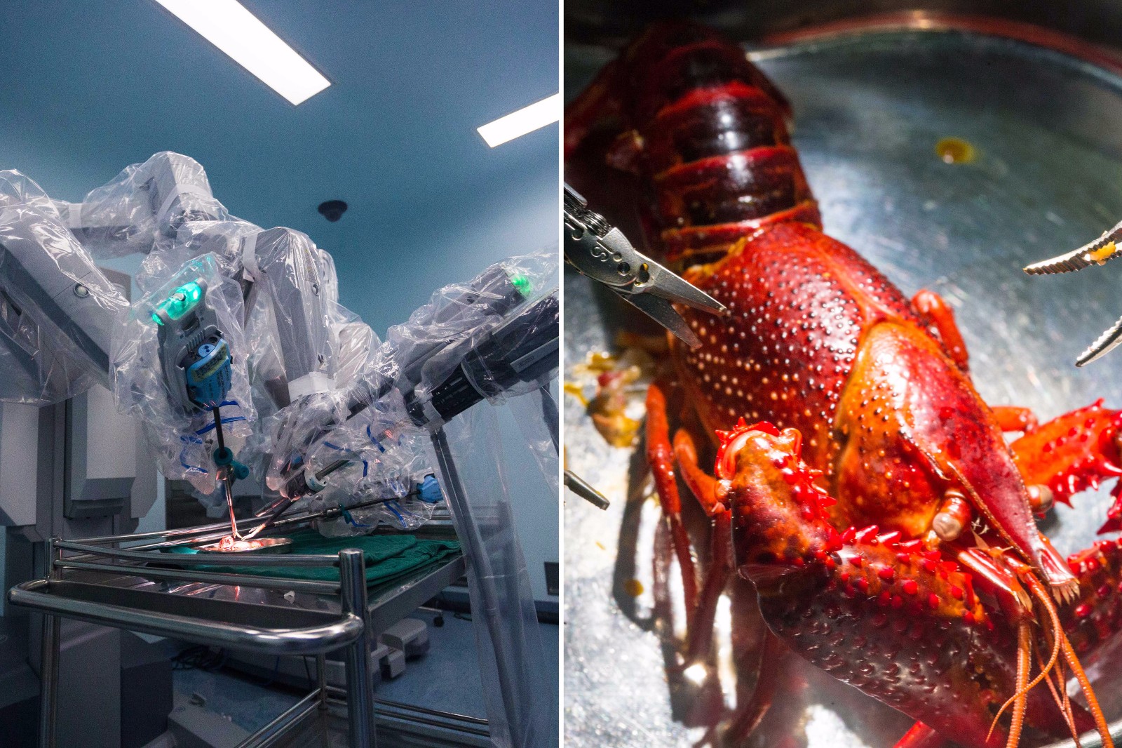 两千万元的手术机器人剥小龙虾网友调侃手很巧可是不敢吃