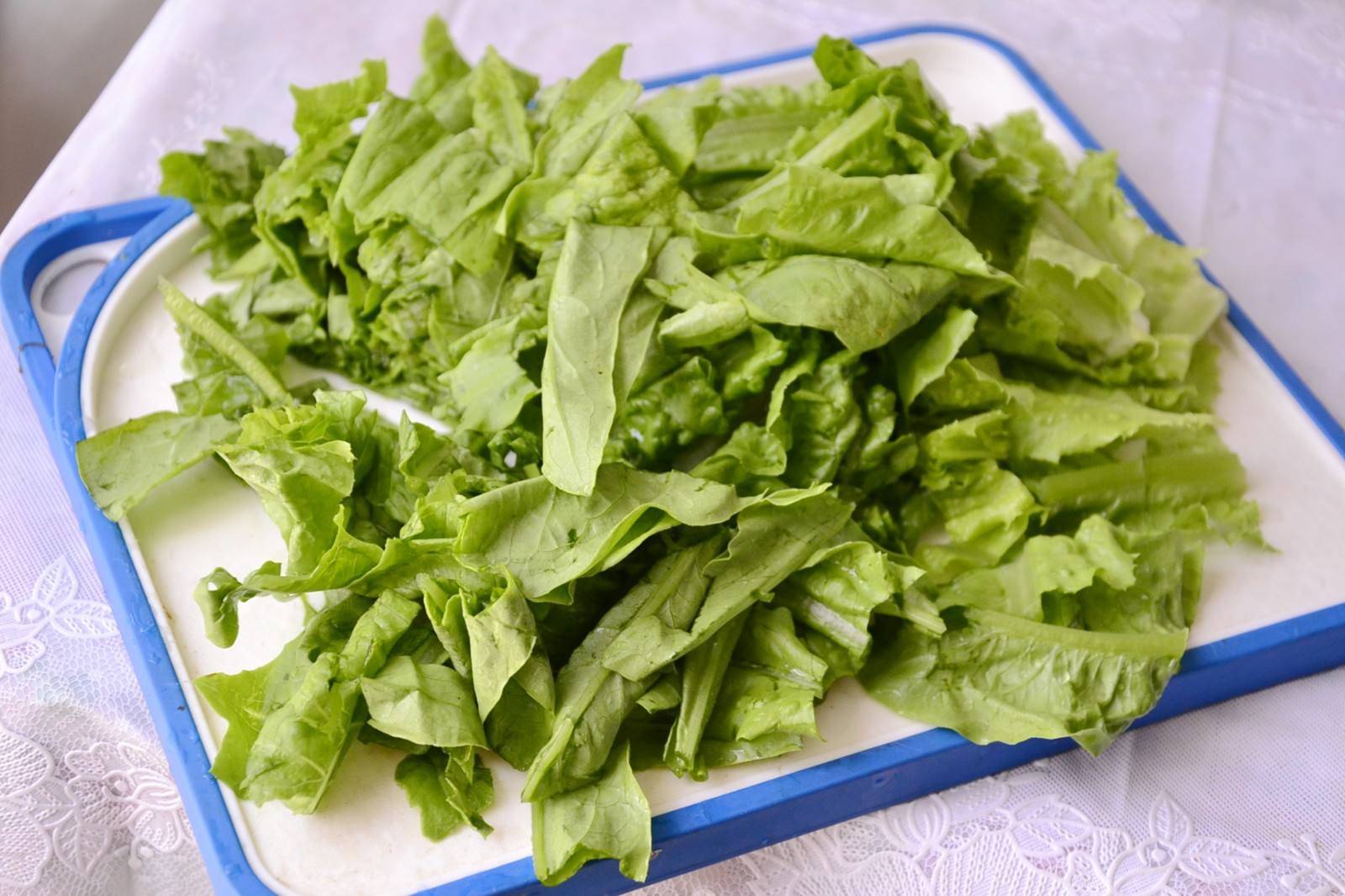 油麦菜是近年来蔬菜市场上出现的一个新面孔,又名莜麦菜,有的地方又叫