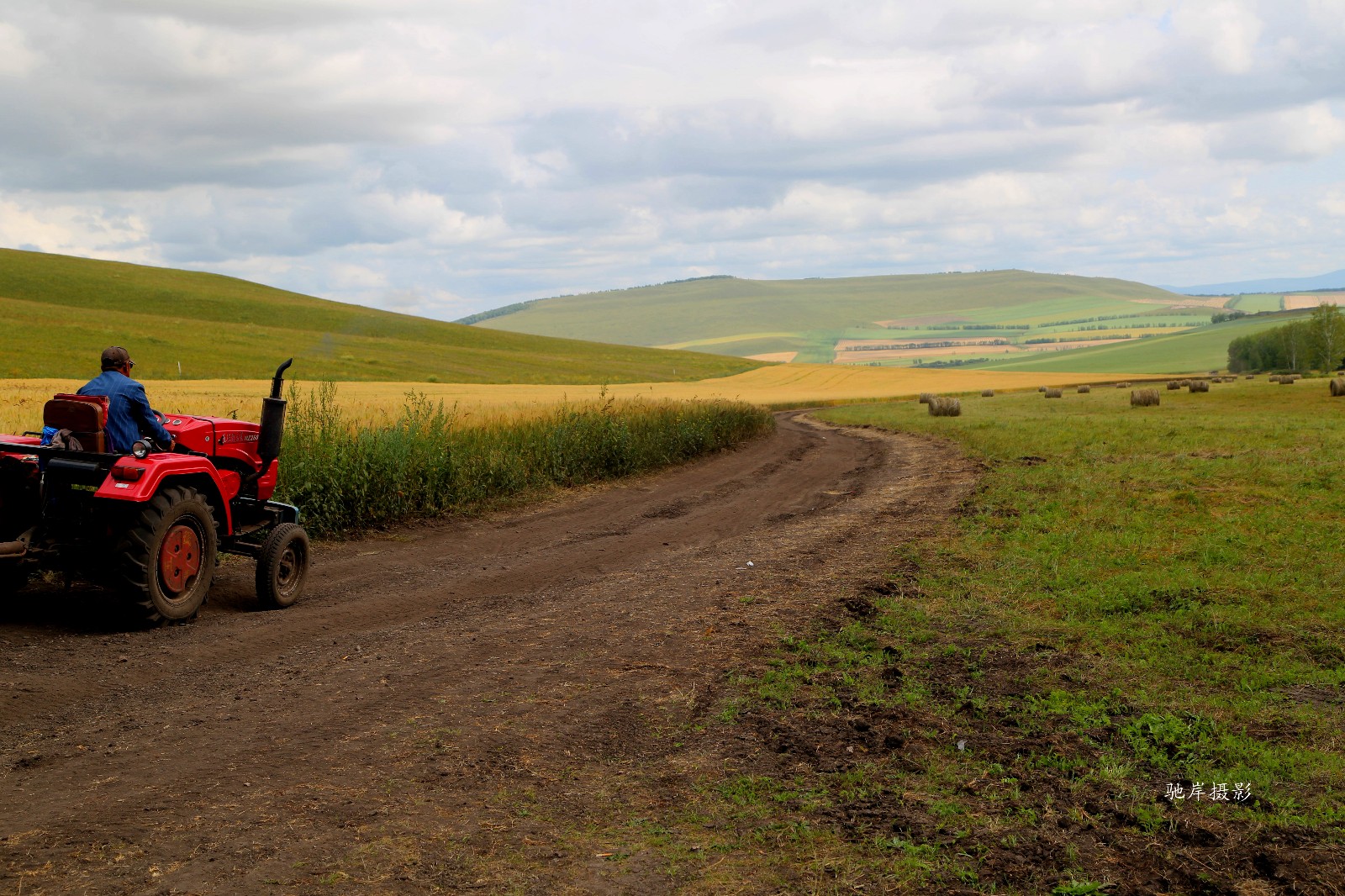 撒欢牧场(拍于内蒙古)