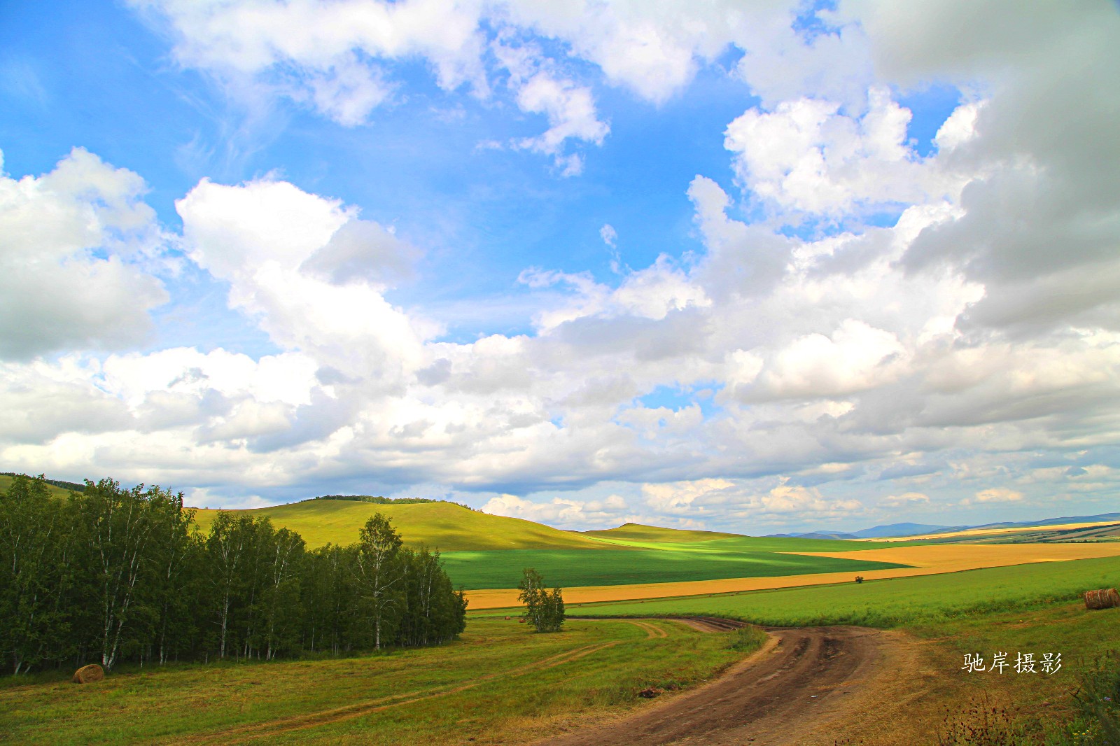 撒欢牧场(拍于内蒙古)