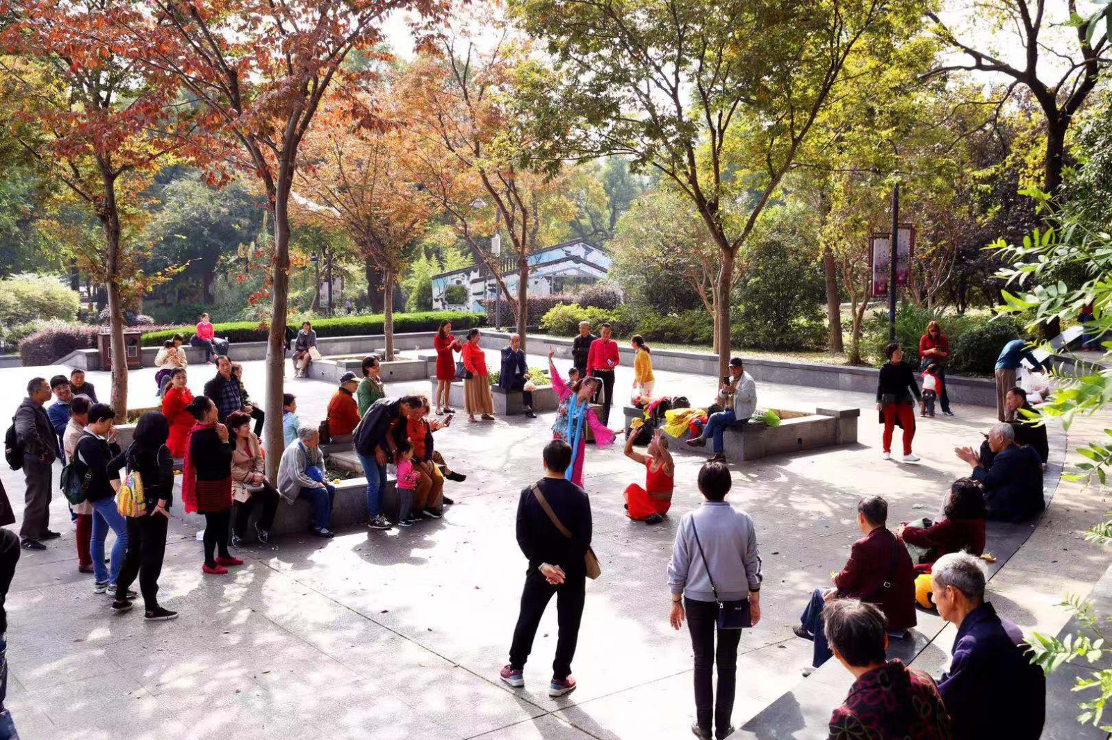 公园里的休闲生活.