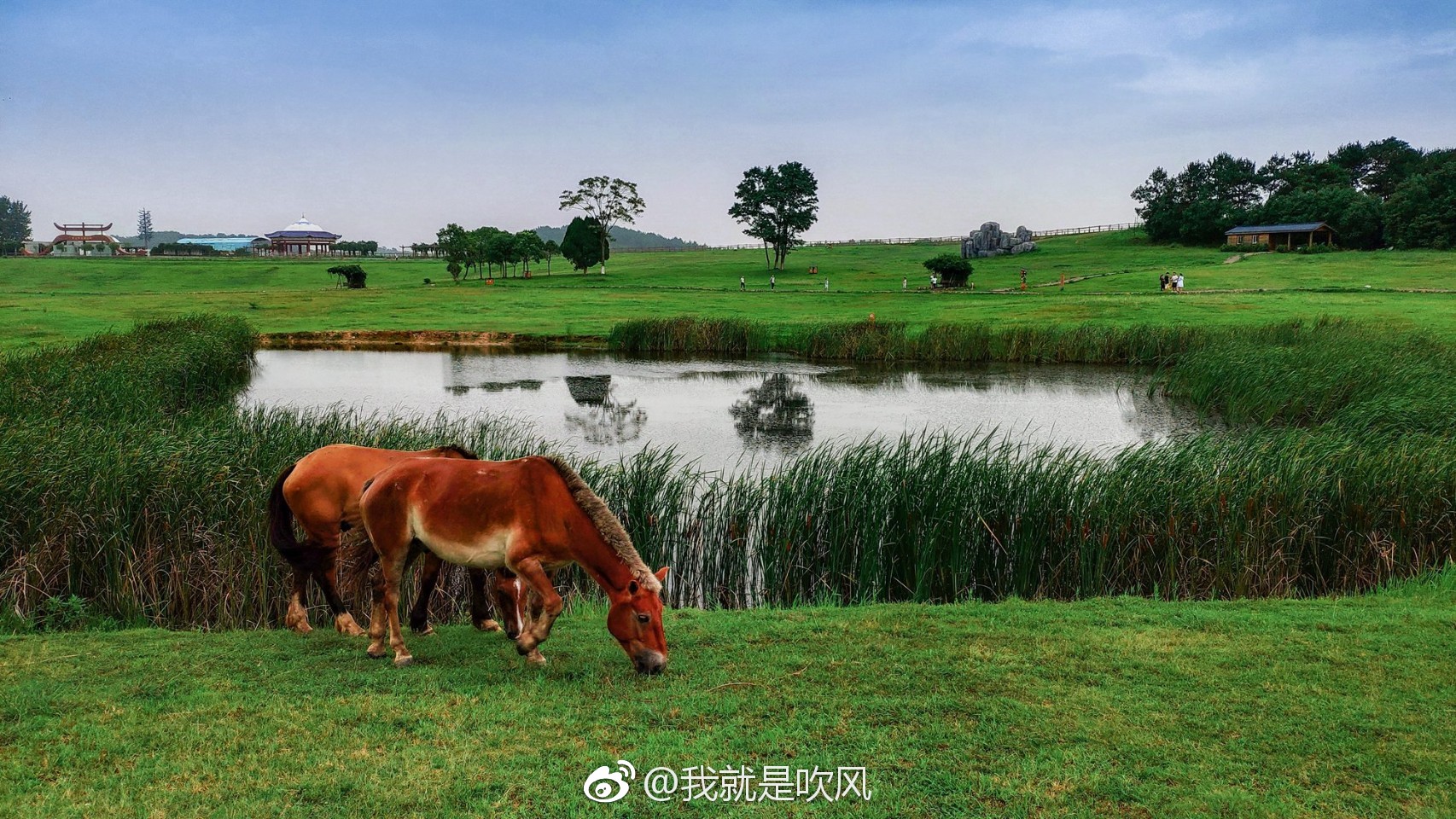 小米mix2s相机真不错第一张大逆光表现都不错