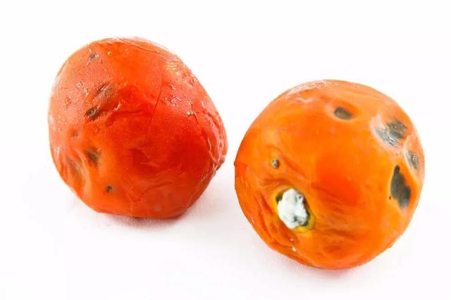 这种西红柿真的不能吃,有毒还致癌,快去看看你家有吗?