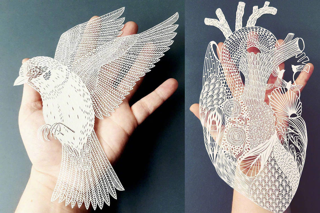 英国纸艺家 pippa dyrlaga 刻纸作品 |_新浪看点