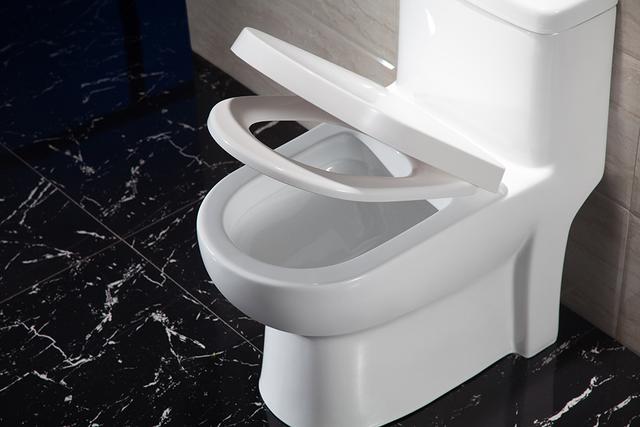 教您正确选择坐便器,噪声异味不再有