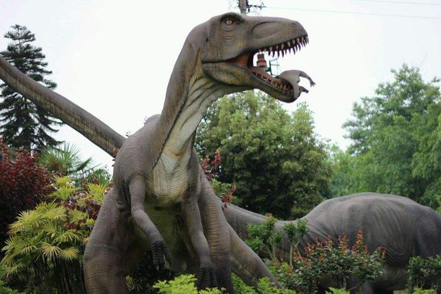 它是在世界著名的大山铺恐龙化石群遗址上就兴建的一座大型遗址类博物