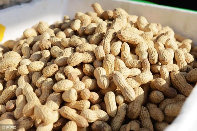 炒花生会升高血脂吗?